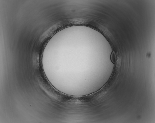 X0000116650254200912291622