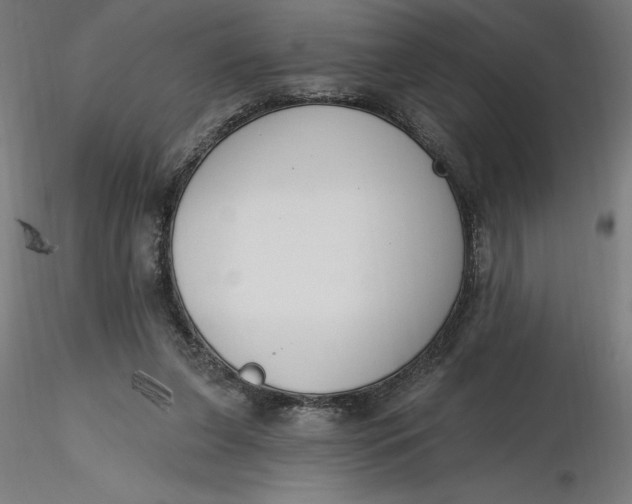 X0000116650255200912291622