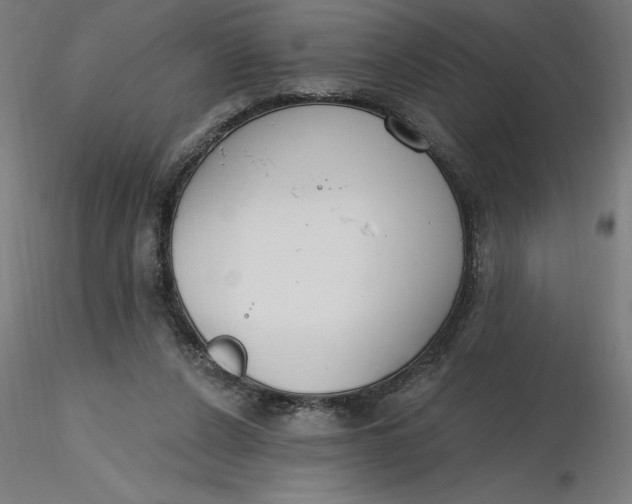 X0000116650256200912291622