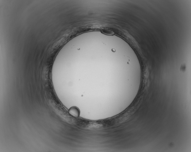 X0000116650257200912291622