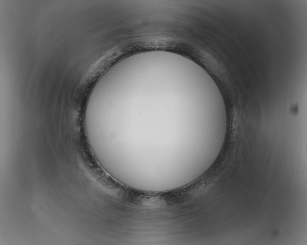 X0000116650258200912291622