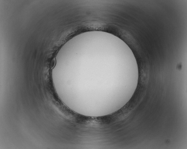 X0000116650259200912291622