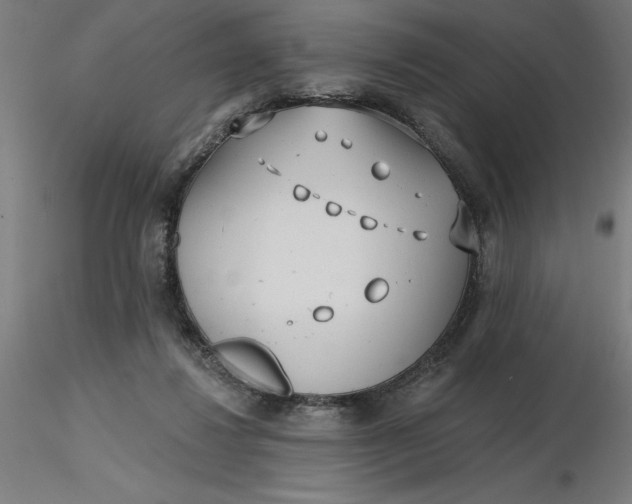 X0000116650260200912291622