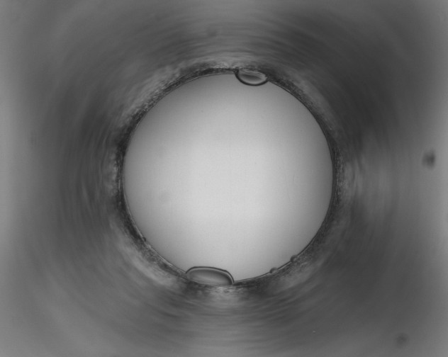 X0000116650261200912291622