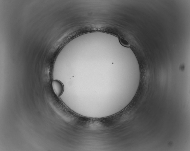 X0000116650262200912291622