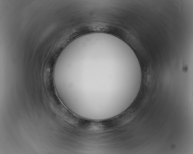 X0000116650263200912291622