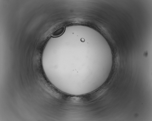 X0000116650265200912291622