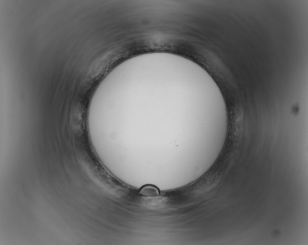 X0000116650266200912291622