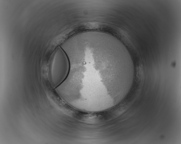 X0000116650267200912291622