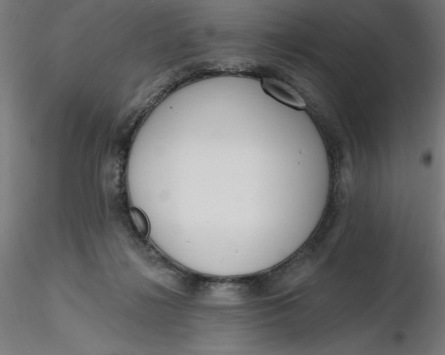 X0000116650268200912291622