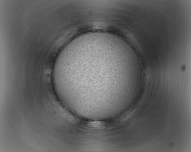 X0000116650269200912291622