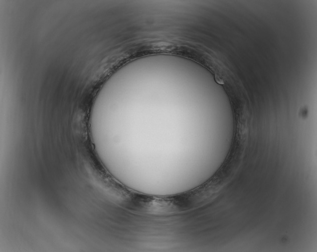 X0000116650270200912291622