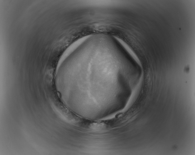 X0000116650271200912291622