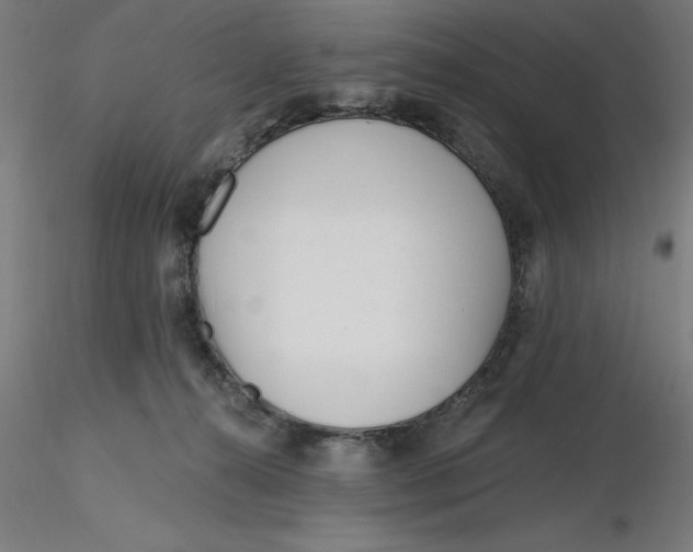 X0000116650272200912291622