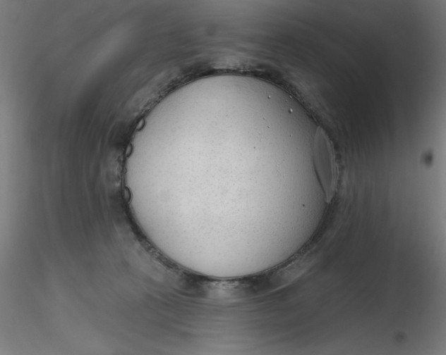 X0000116650273200912291622