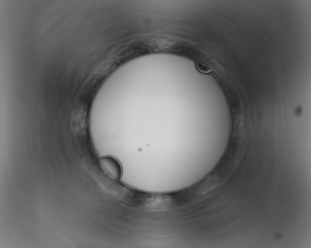 X0000116650274200912291622