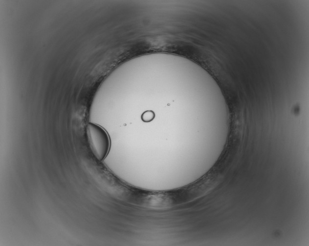 X0000116650275200912291622