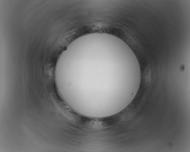 X0000116650276200912291622