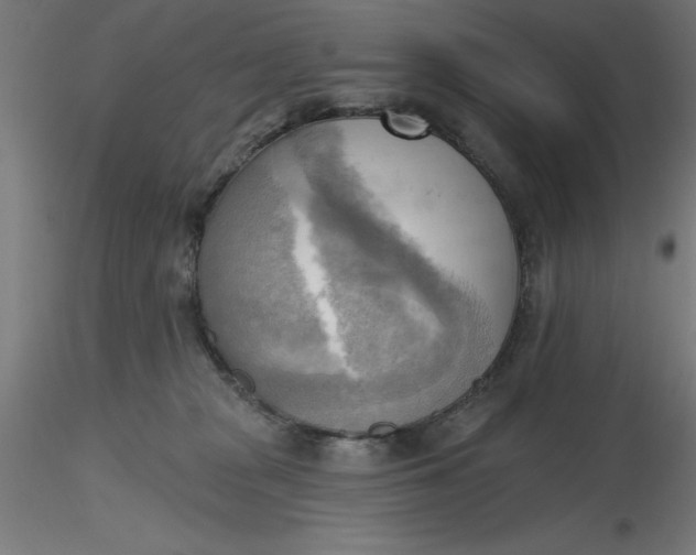 X0000116650277200912291622