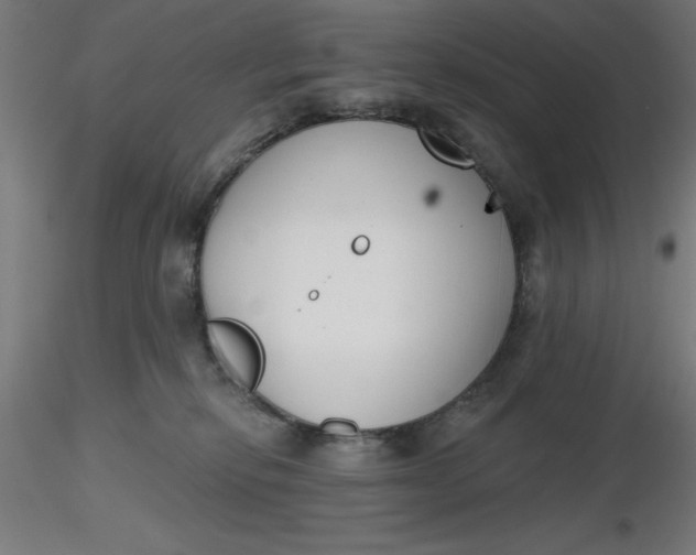 X0000116650278200912291622