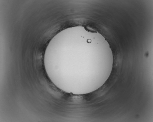 X0000116650279200912291622