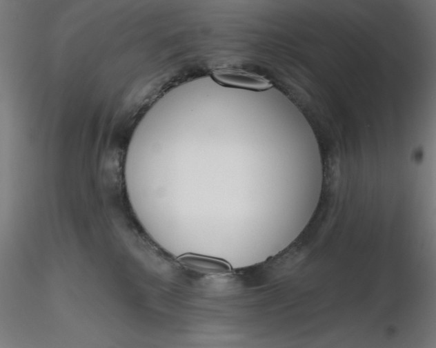 X0000116650280200912291622