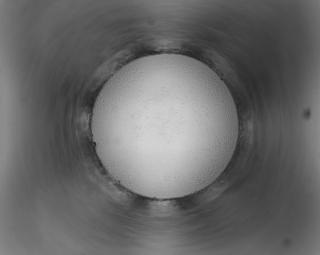 X0000116650281200912291622