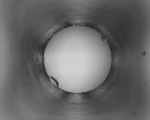 X0000116650282200912291622