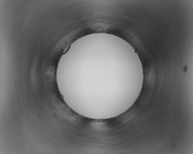 X0000116650283200912291622