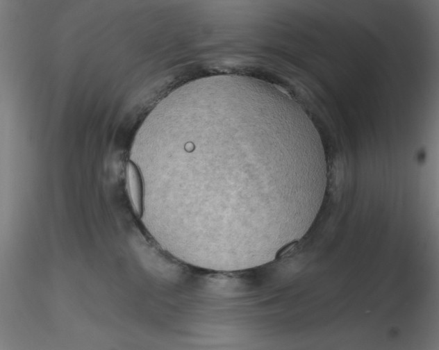 X0000116650284200912291622