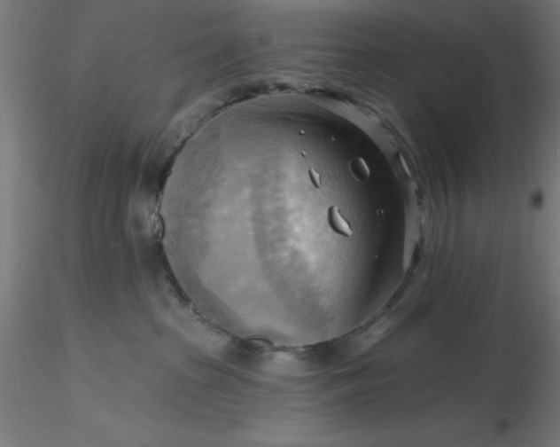 X0000116650285200912291622