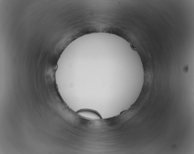 X0000116650286200912291622