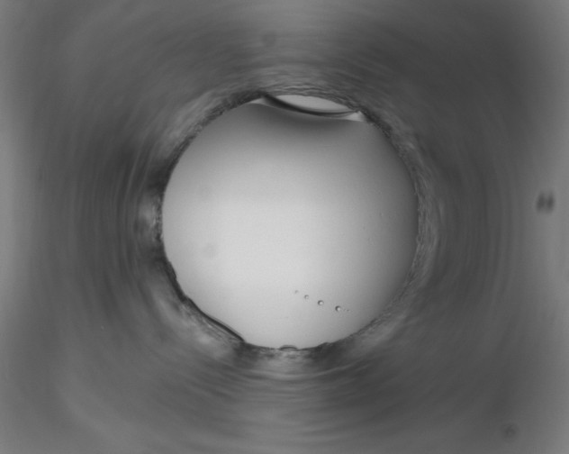 X0000116650288200912291622