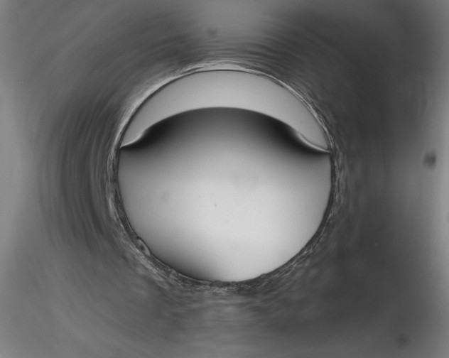 X0000116650289200912291622