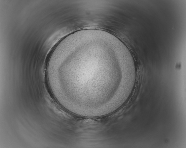 X0000116650290200912291622