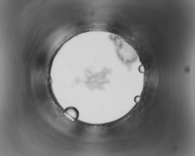 X0000116650293200912291622