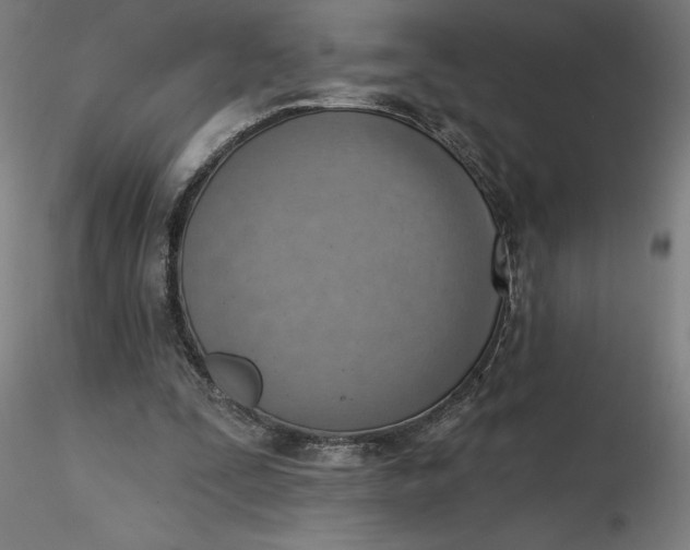 X0000116650295200912291622