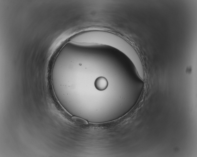 X0000116650296200912291622