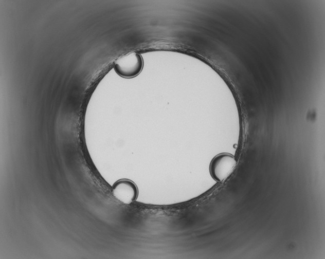 X0000116650297200912291622