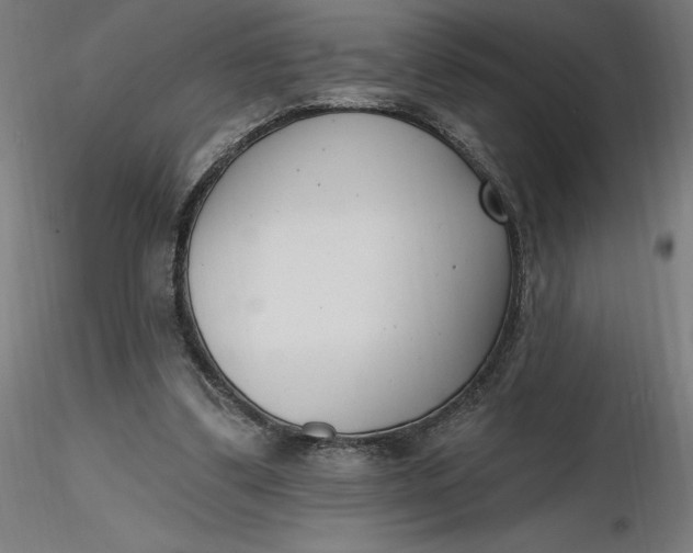 X0000116650299200912291622