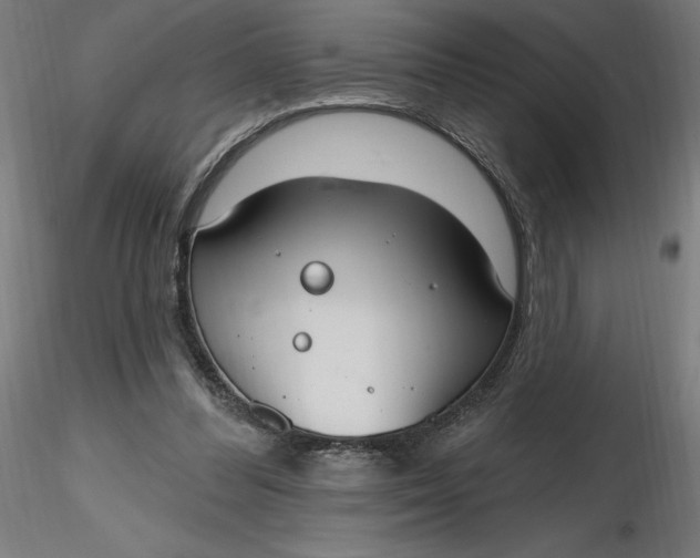 X0000116650300200912291622