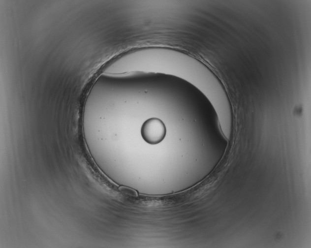 X0000116650301200912291622