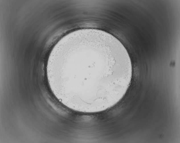 X0000116650302200912291622