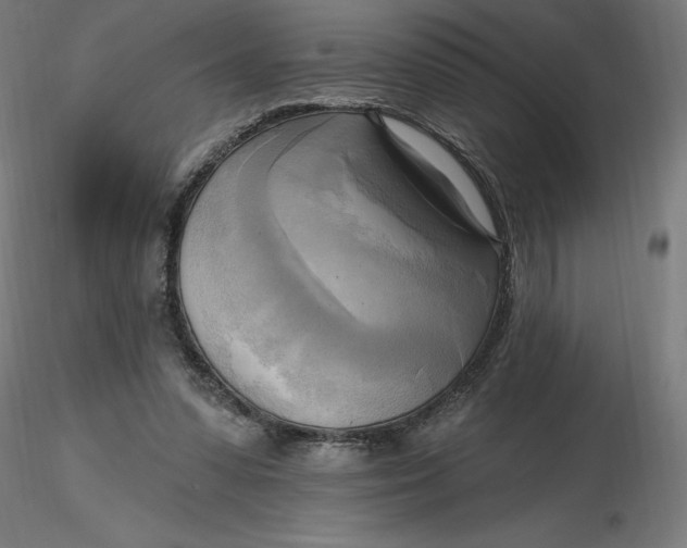 X0000116650303200912291622