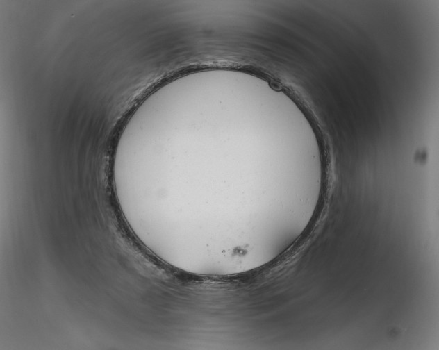 X0000116650305200912291622