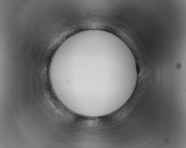 X0000116650306200912291622