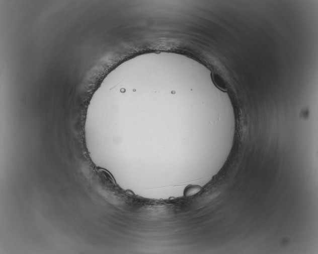 X0000116650307200912291622