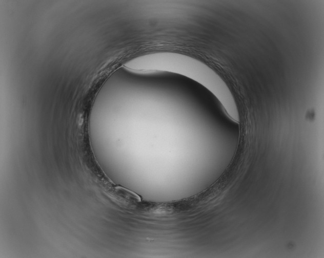 X0000116650308200912291622