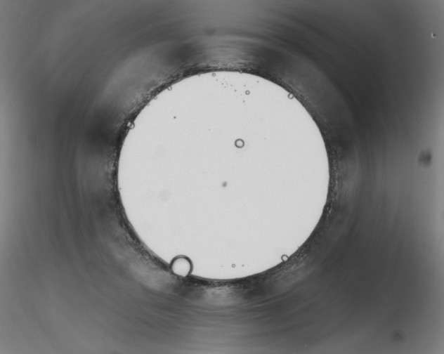 X0000116650309200912291622