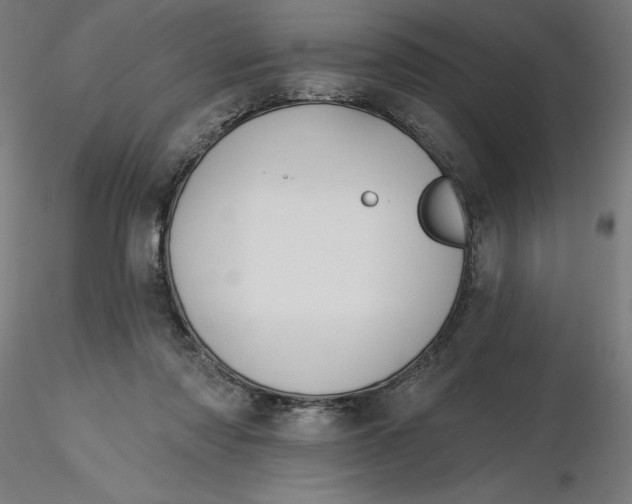 X0000116650310200912291622